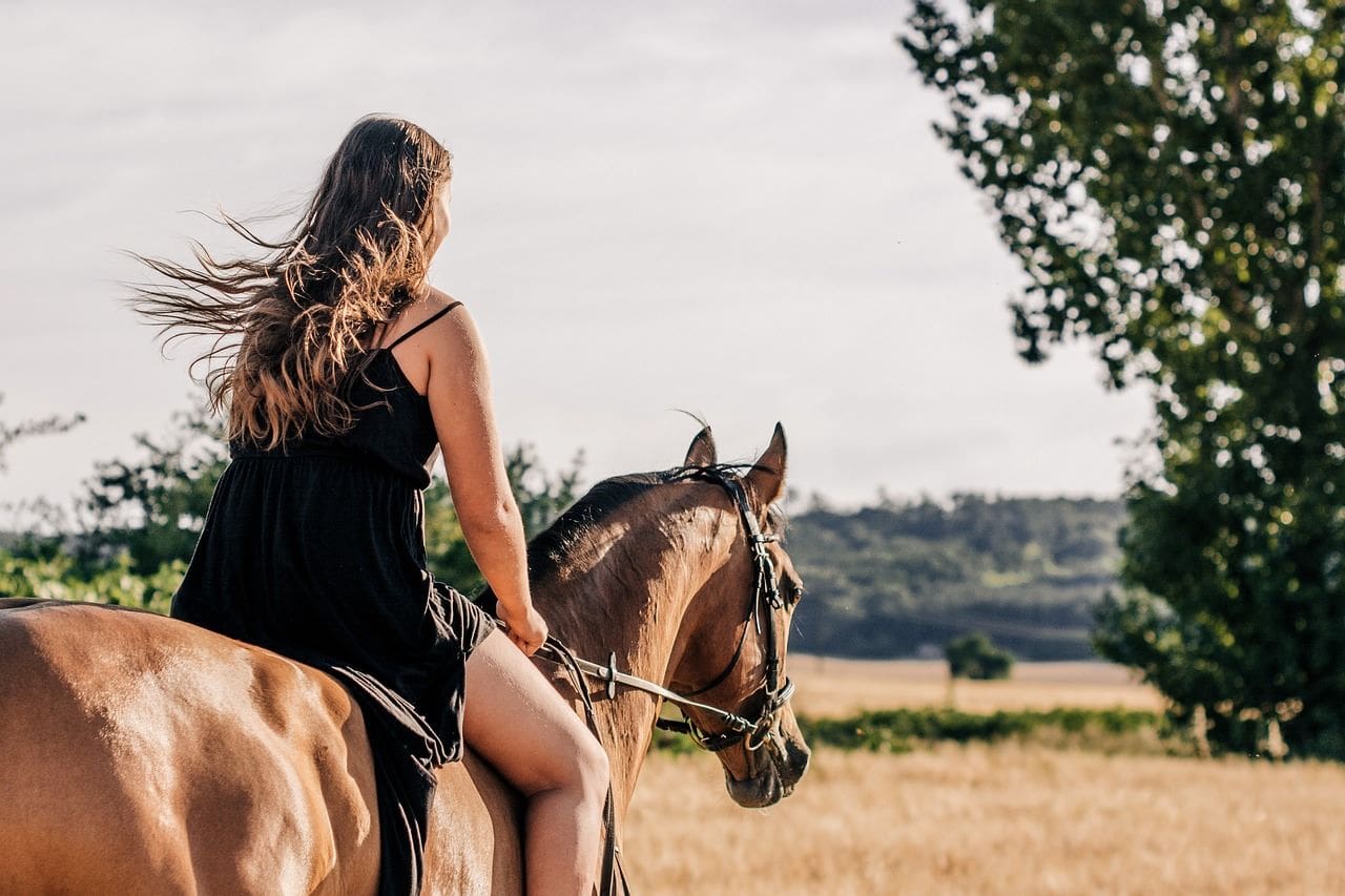 Woman wearing a black dress riding a brown horse